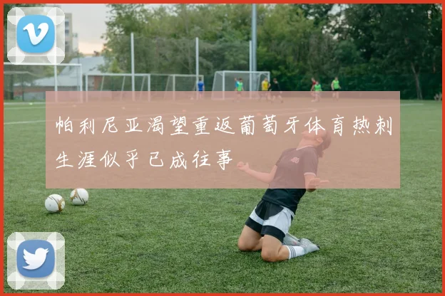 帕利尼亚渴望重返葡萄牙体育热刺生涯似乎已成往事